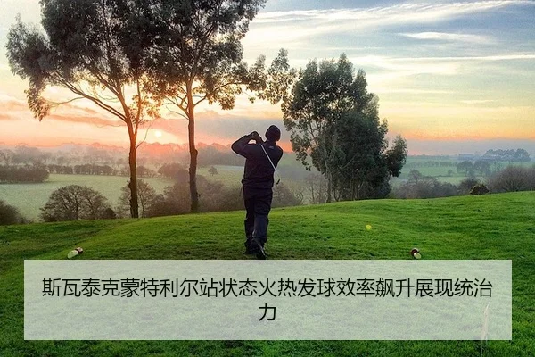 si-wa-tai-ke-meng-te-li-er-zhan-zhuang-tai-huo-re-fa-qiu-xiao-lv-biao-sheng-zhan-xian-tong-zhi-li-2-734.jpg